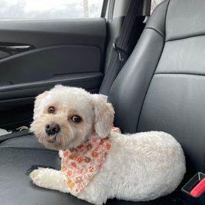 Meet your Posher, Ruth